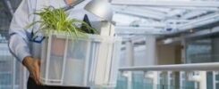 Infedeltà dei dipendenti: legittimo il licenziamento